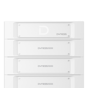 Dyness HV Controller für Stack100 LFP Batterie - beheizt