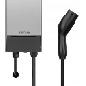 ECOFLOW PowerPulse (EU)