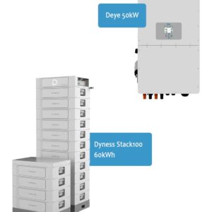Bundle Deye 50kW + 60kWh Dyness